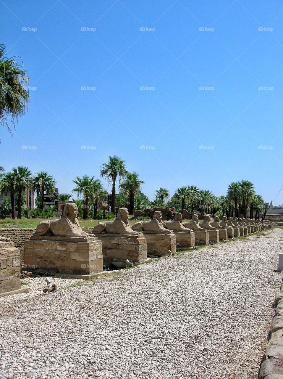 Sphinxes running from Karnak to Luxor Temple