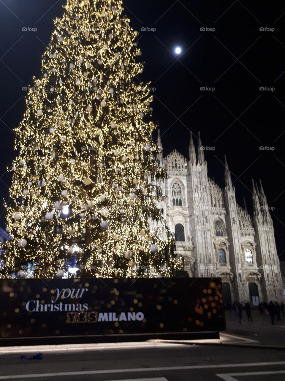 Christmas in Milano