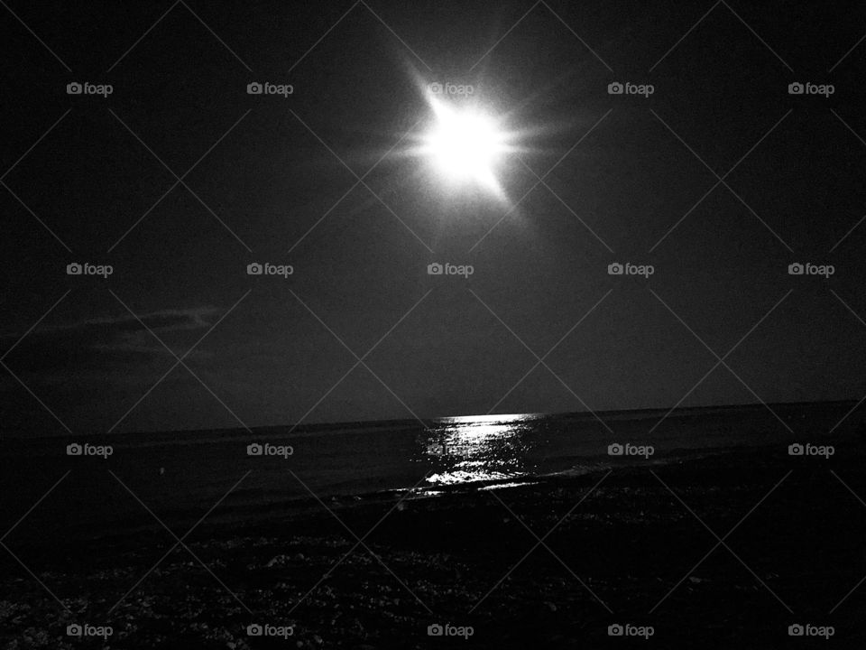 MOONLIGHT 🌑