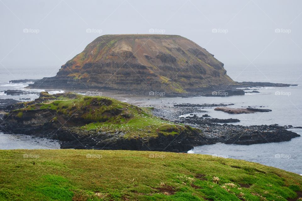 The Nobbies on Phillip Island 