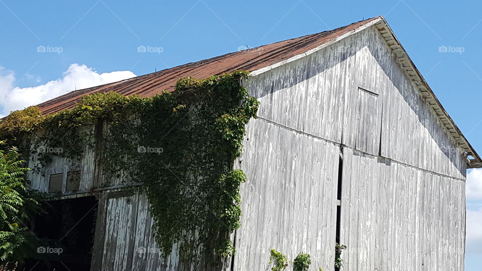 House, Wood, Building, Architecture, Barn