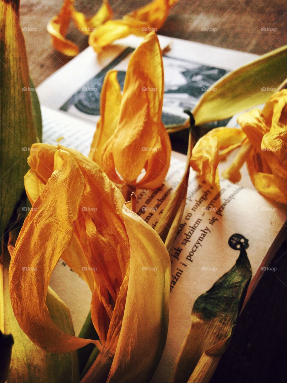 Flowers on the book . Poe and flowers... 