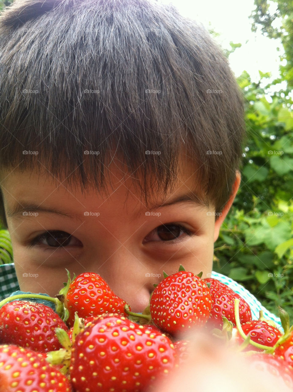 massachusetts kid strawberries sunshine by sydney428