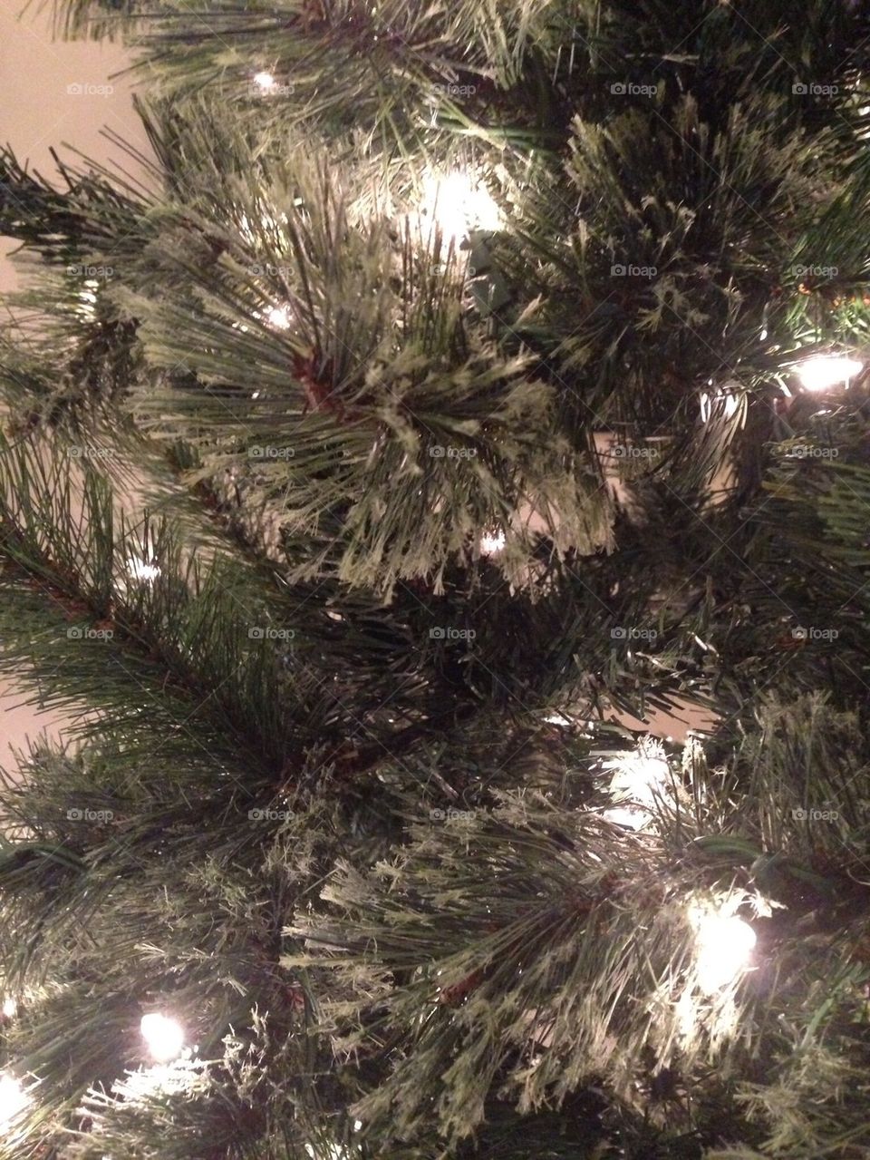 Christmas Tree Needles