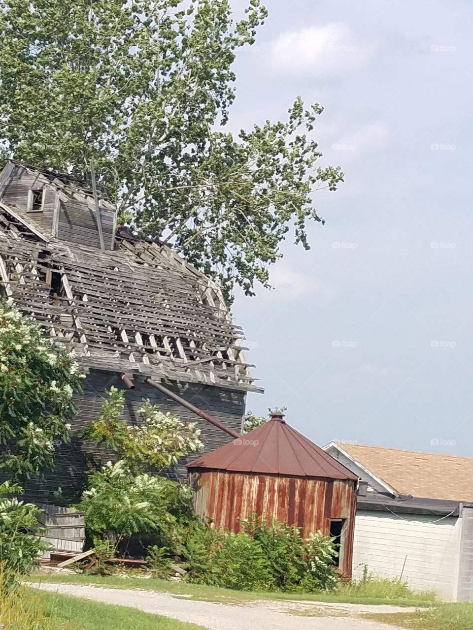 old barn, Erwin's Orchard