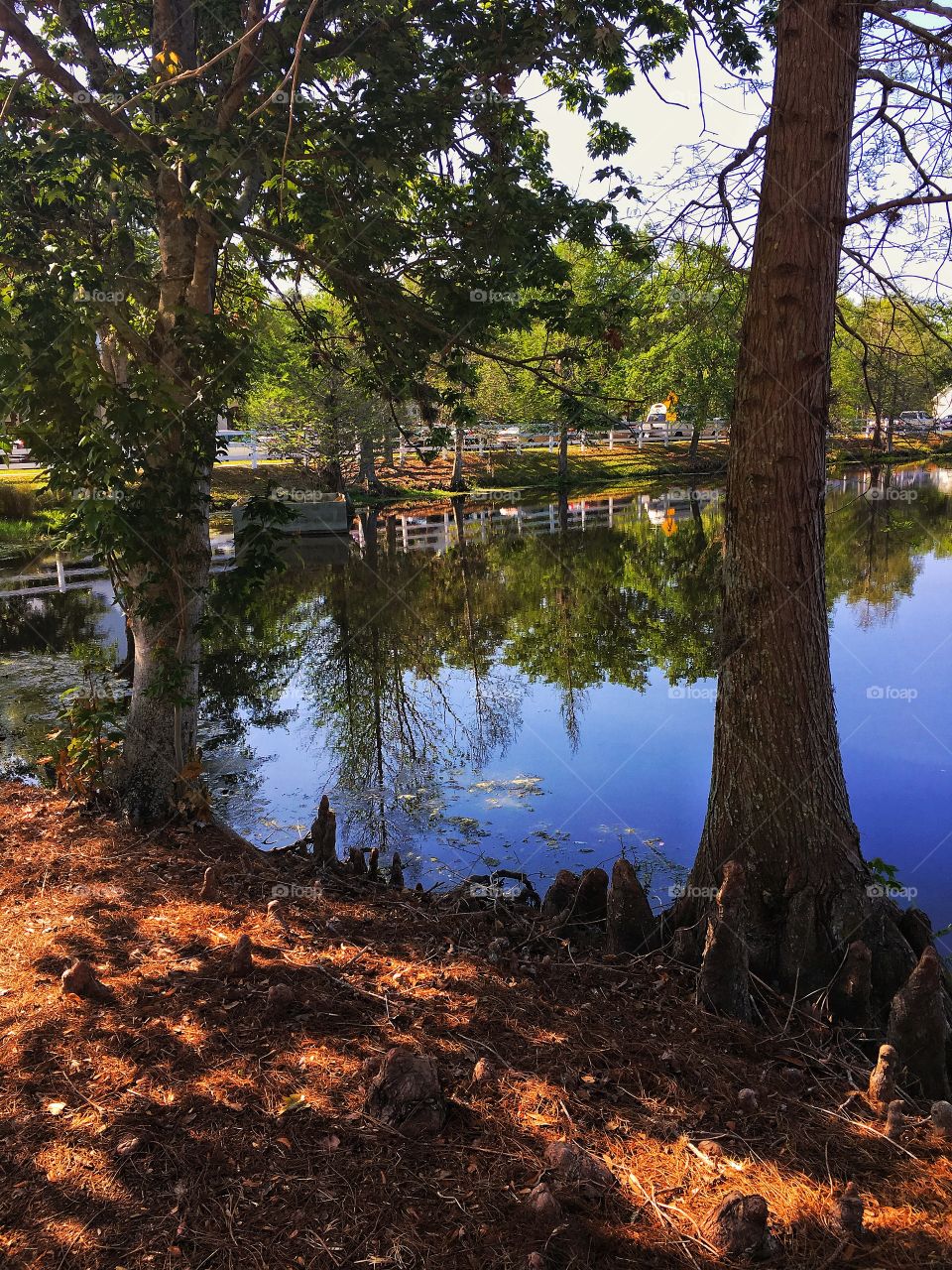 Reflection on a lake