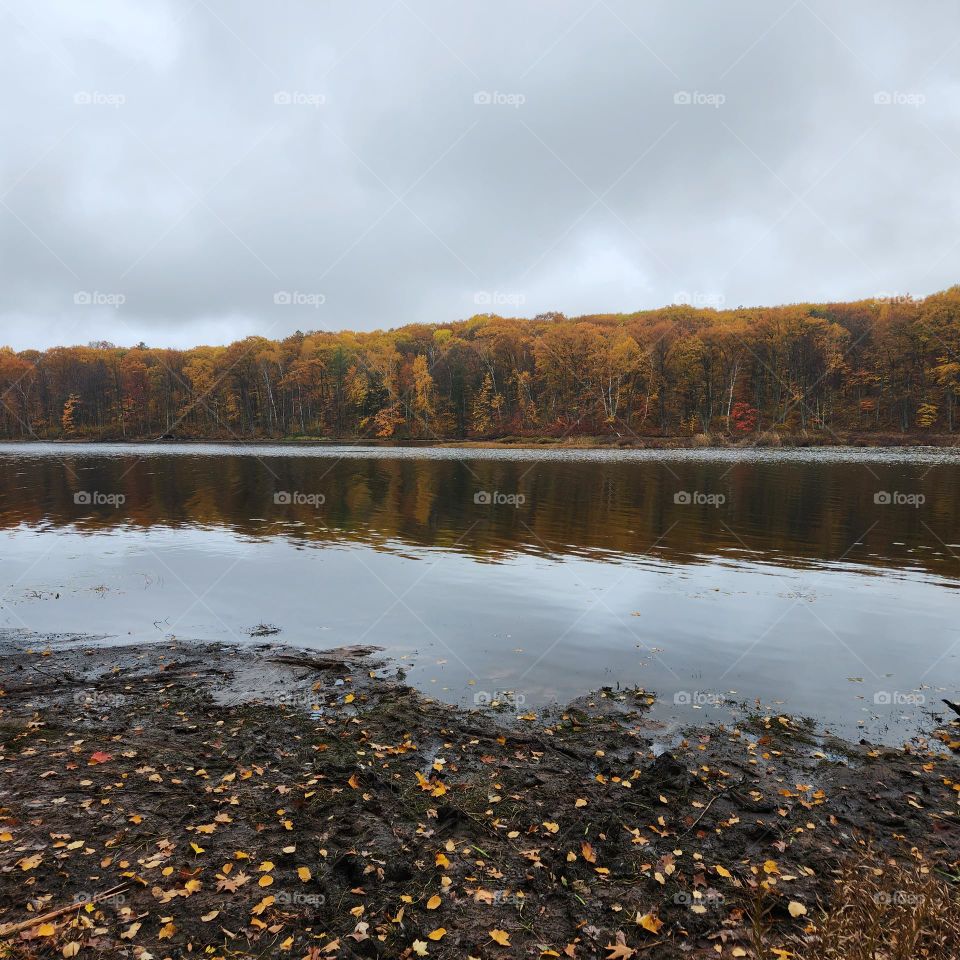 Lakeshore in Fall