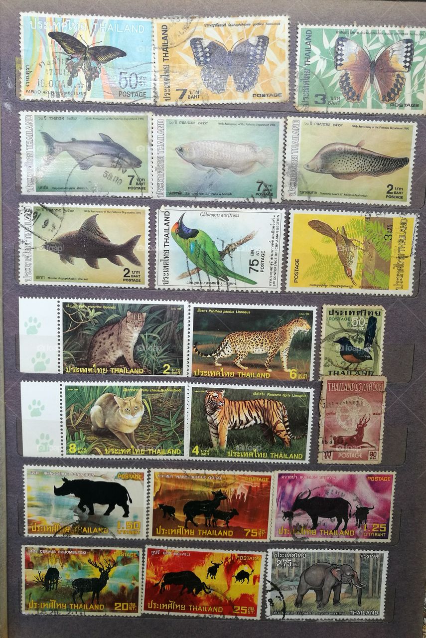 Thai stamp, animals/wildlife collection