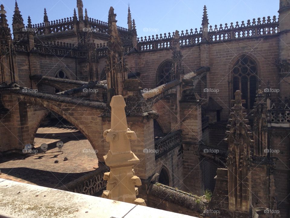 Roof of Seville Cathedral