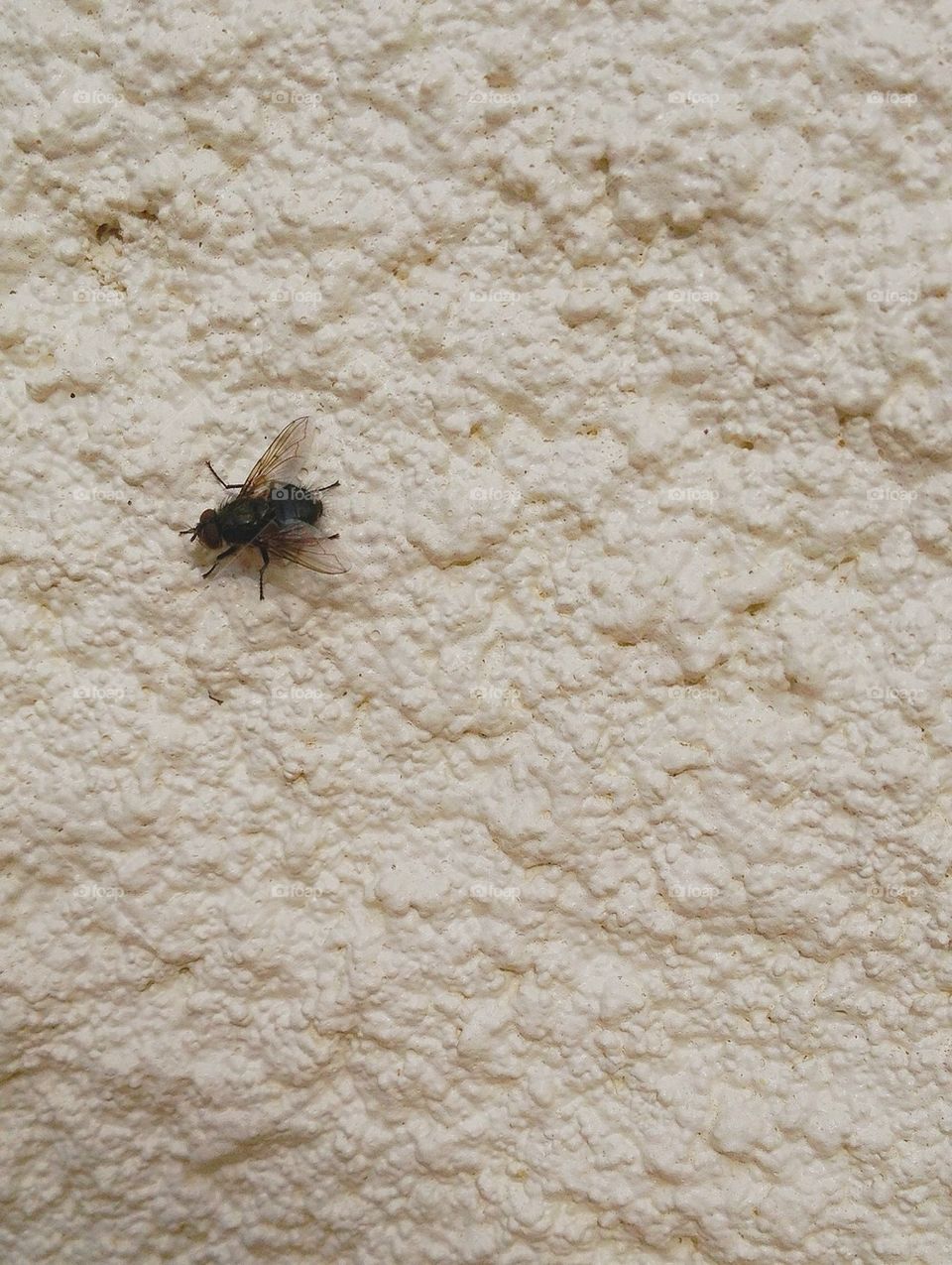 I would have loved to been a fly on the wall...