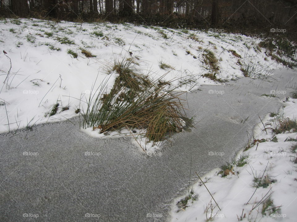 Frozen Stream