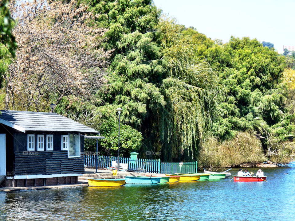 summer boats trees lake by llotter