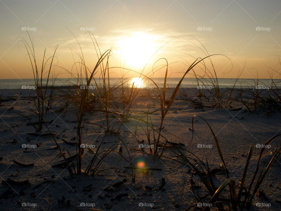 beach ocean grass sunset by momjan