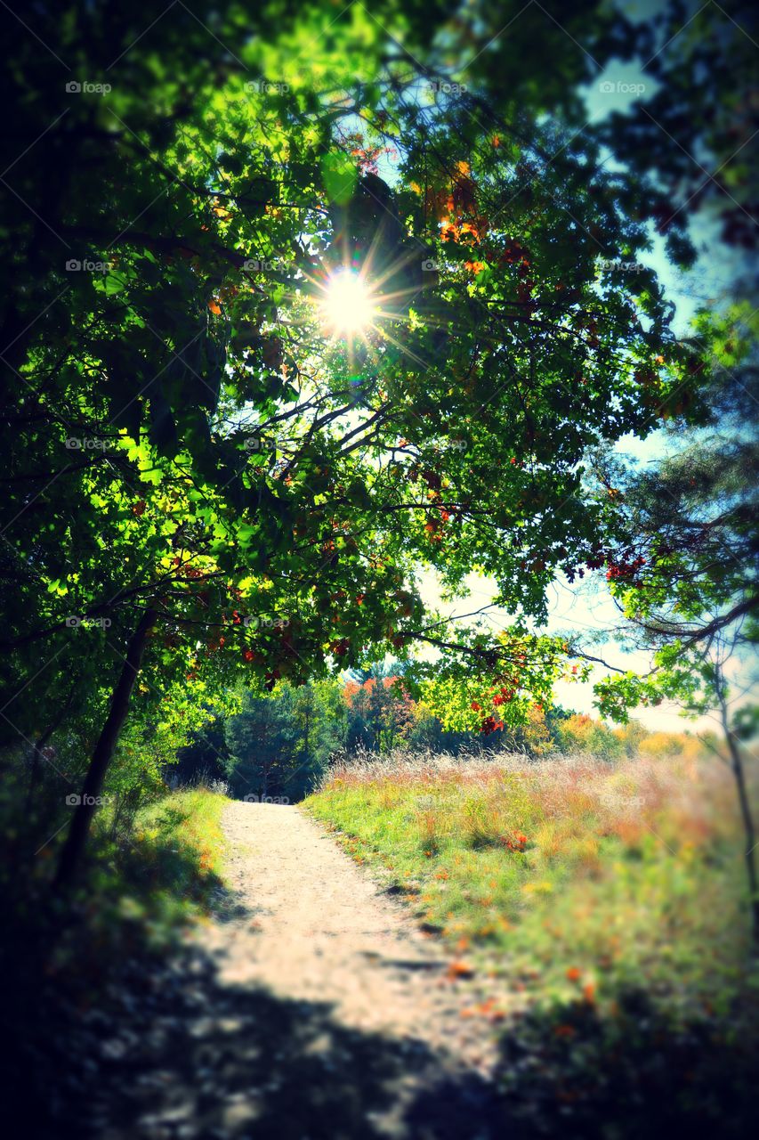 The Path is bright and clear.