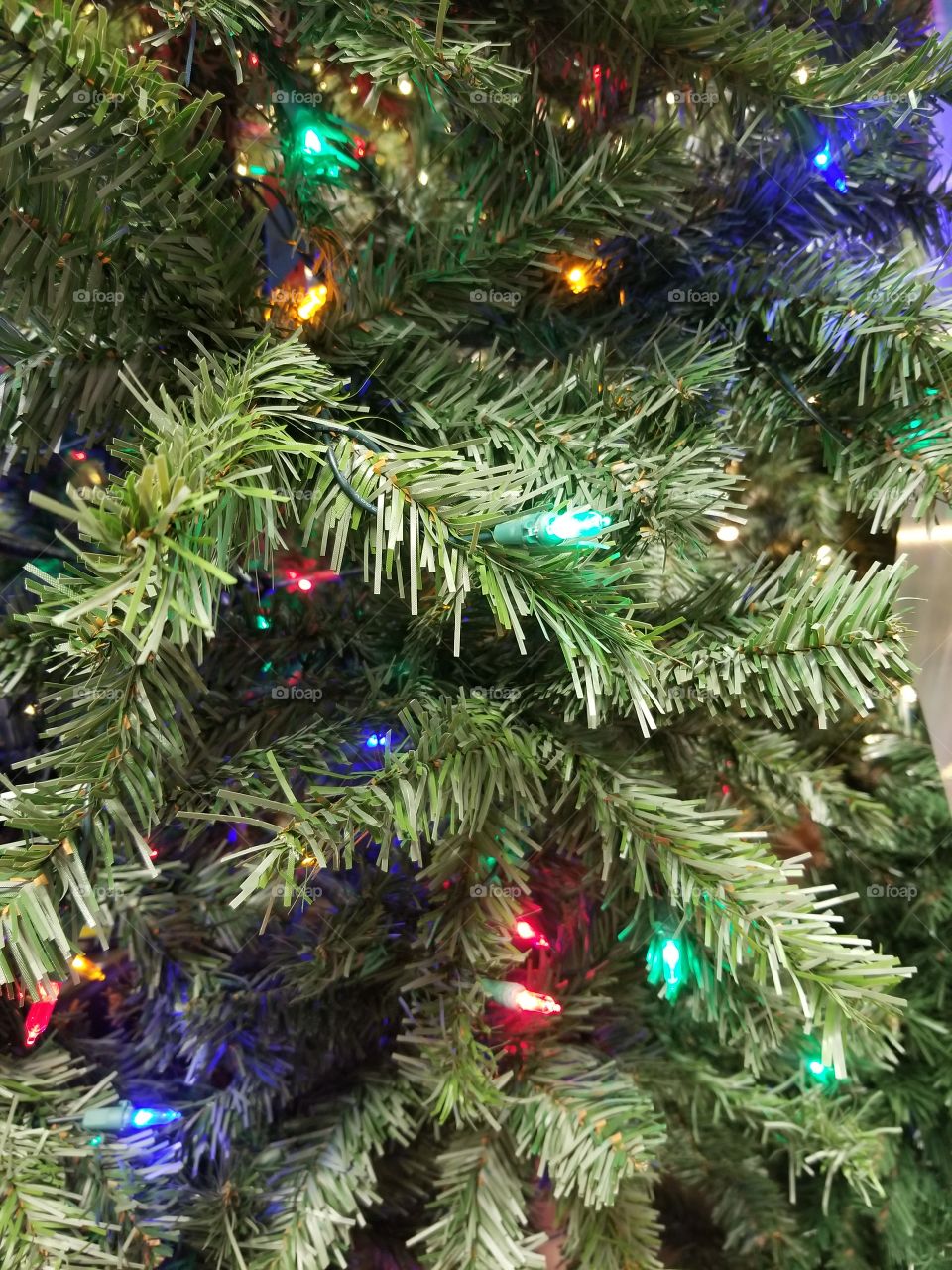 Christmas tree lights