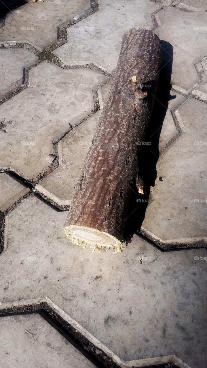 маленькое бревнышко крупным планом