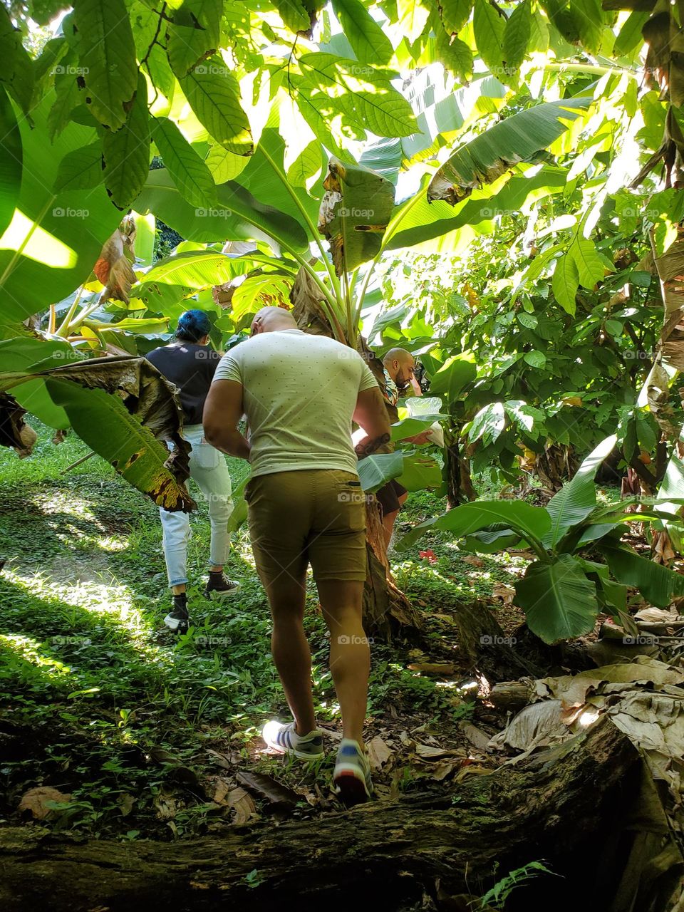 A walk through the mountain