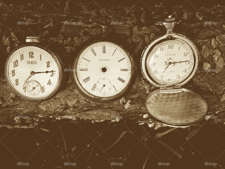 Three old pocket time watches on a tree limb in black and white