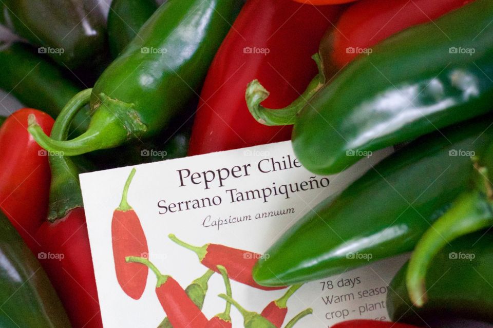 Red and green Serrano chile peppers and their seed packet 