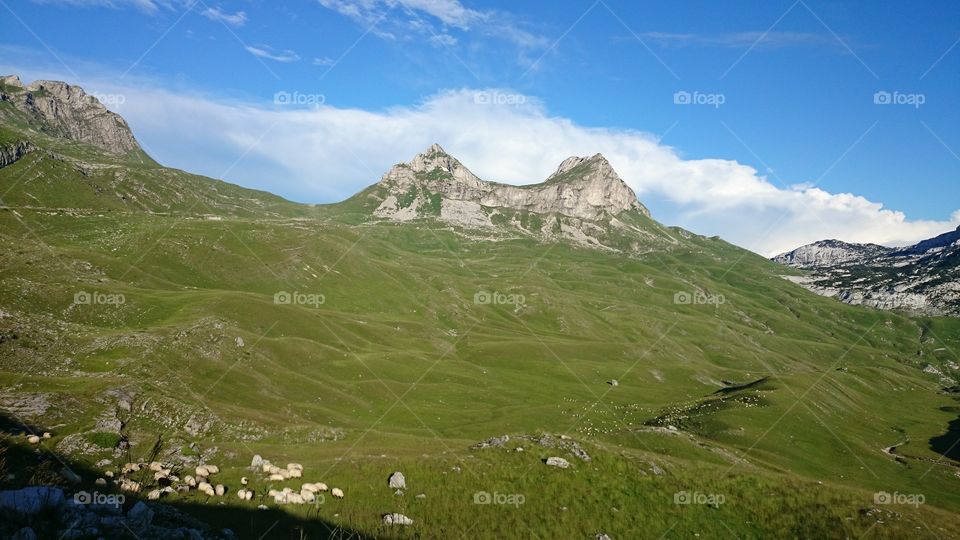 Saddle. Photo was taken at Durmitor mountain in Montenegro 