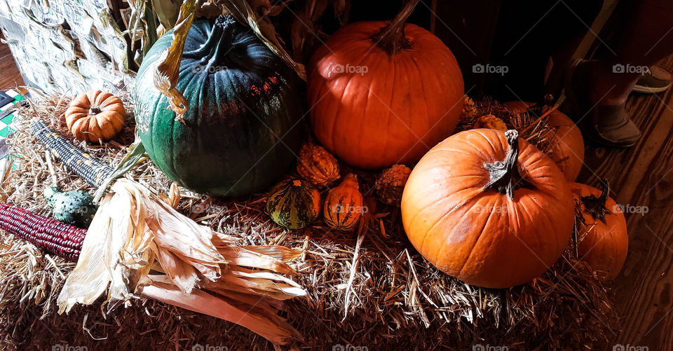 Harvest time of year.