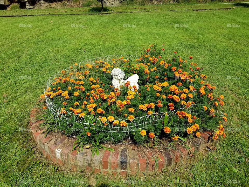 flower bed Orange