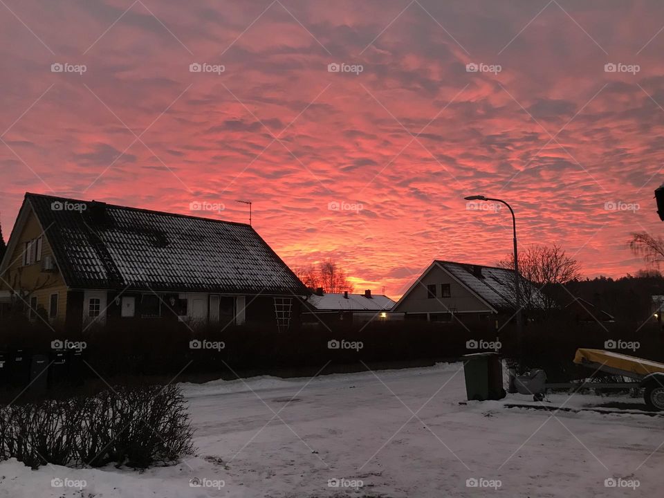 Got surprised one morning with these pink clouds. 