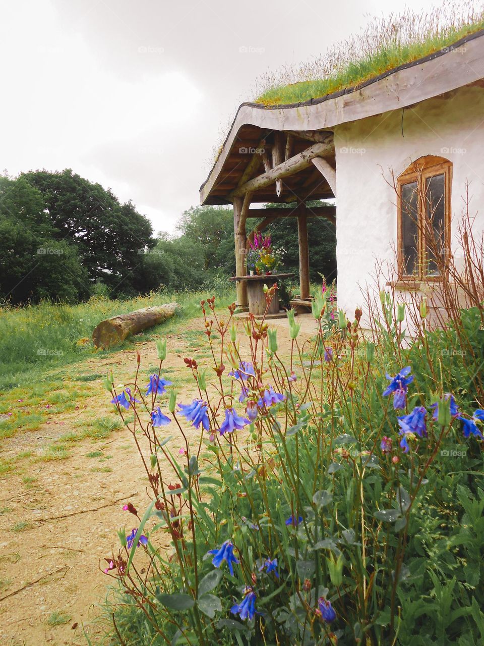 Cob house cottage with flowerbeds