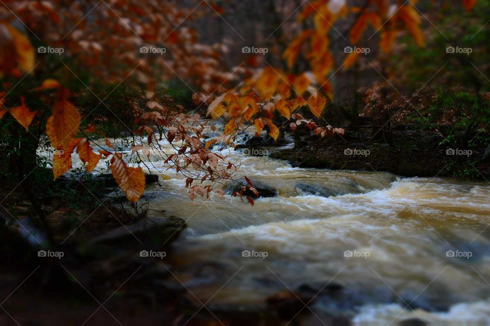 Flowing river with Fall leaves in the foreground