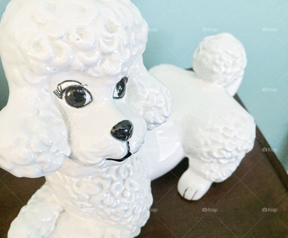 Antique poodle.