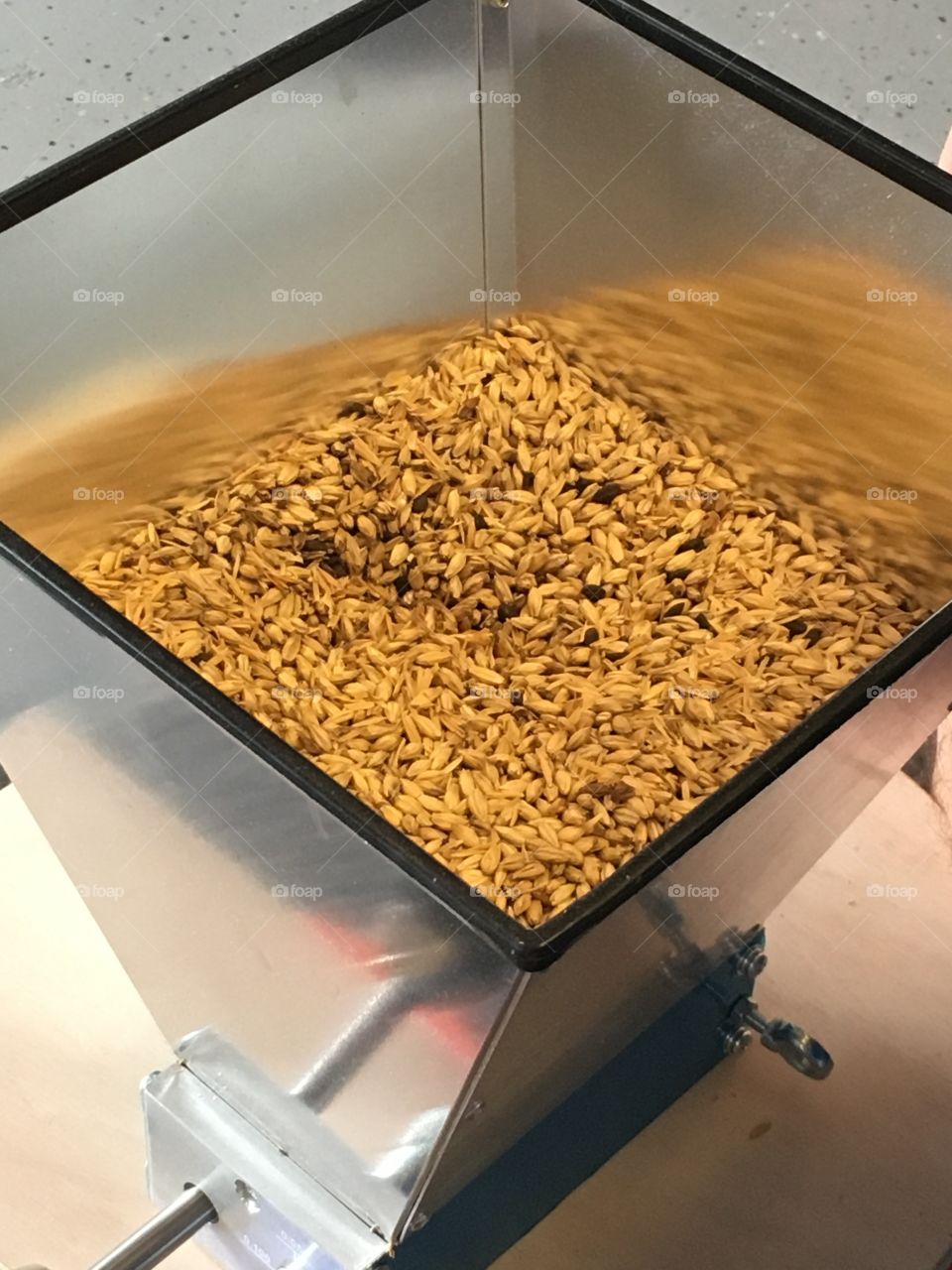 Brew day prep: cracking grains
