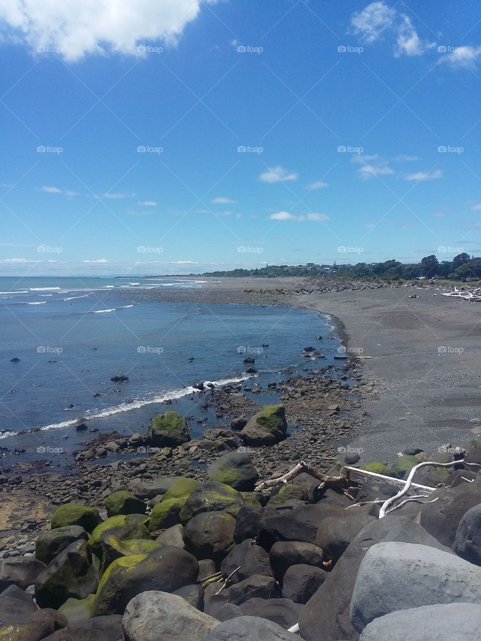 beach in New Zealand