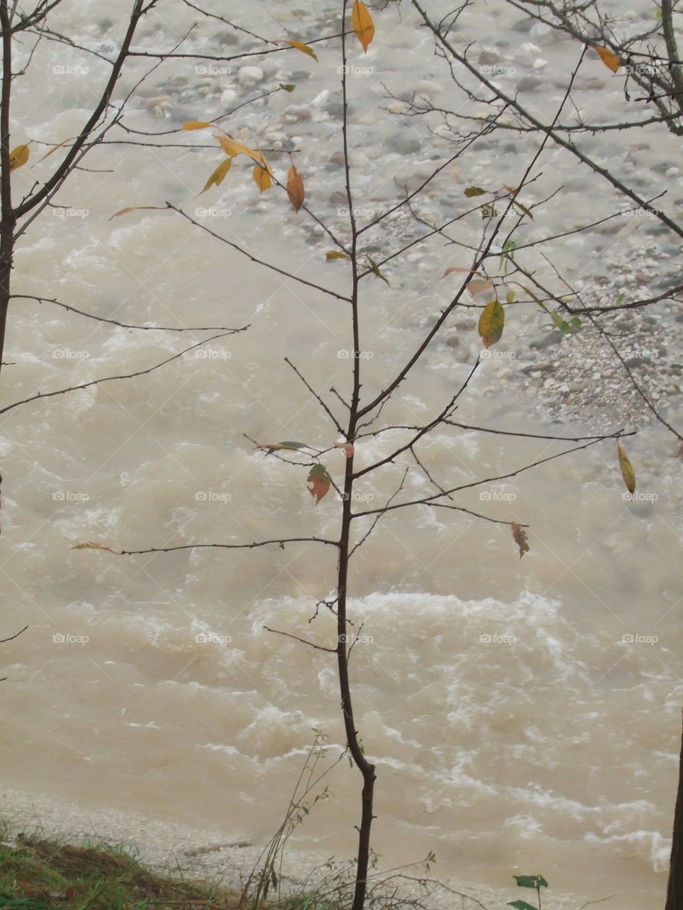 the creek after the flood