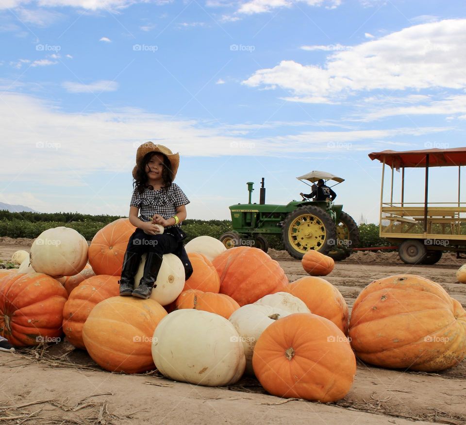 Fall Spooky/Harvest Season Super Sized-It Pumpkins 