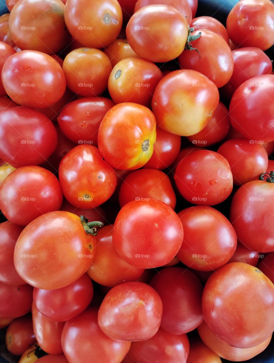 red tomato, vegetable, use in salad and soup, mix with other vegetables, very nutritious vegetables