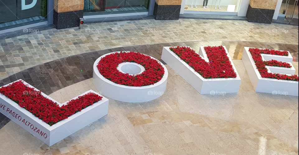 LOVE: Amor puro hecha en letras grandes rellena de flores rojas