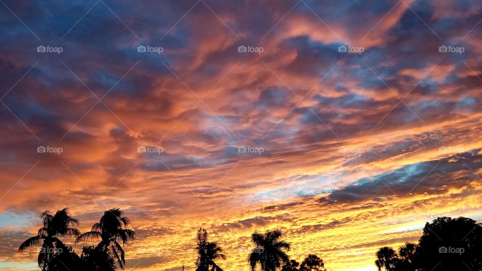 gorgeous sunrise over Fort Lauderdale