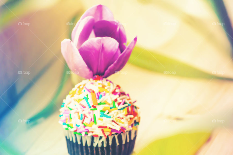 Dreamlike colorful cupcake fun floral dessert background photography edible flowers