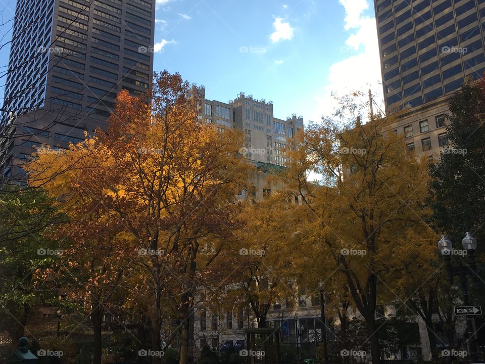 Boston in the evening light