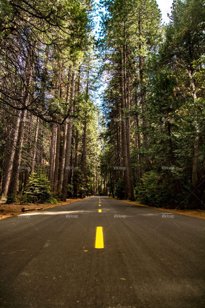 Yosemite national park road 