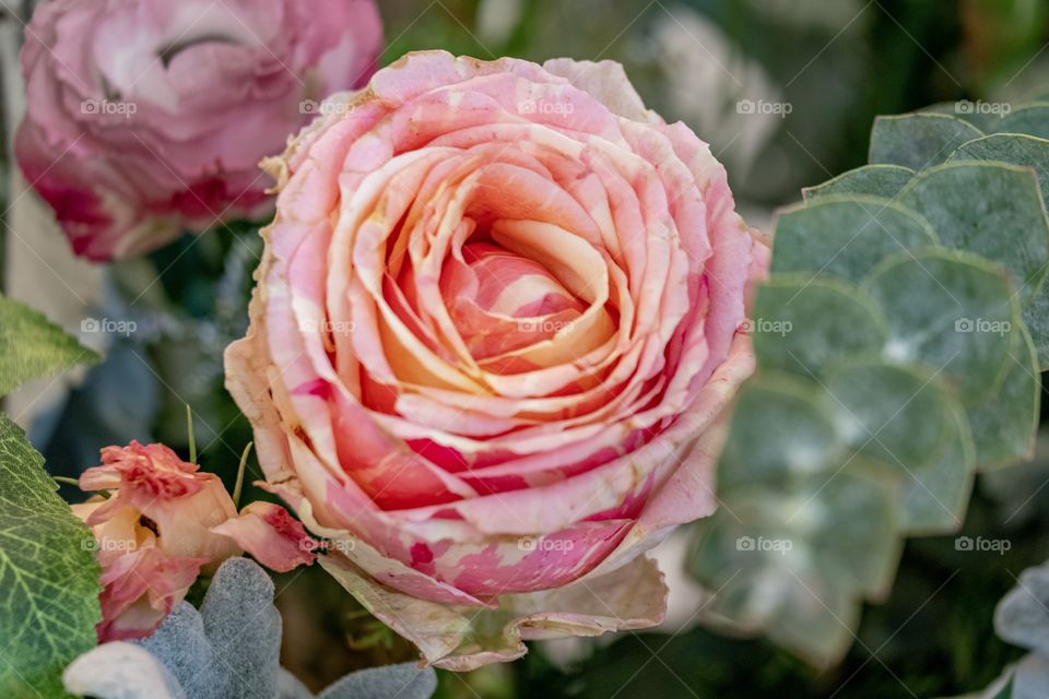 Beautiful roses of beautiful wedding party