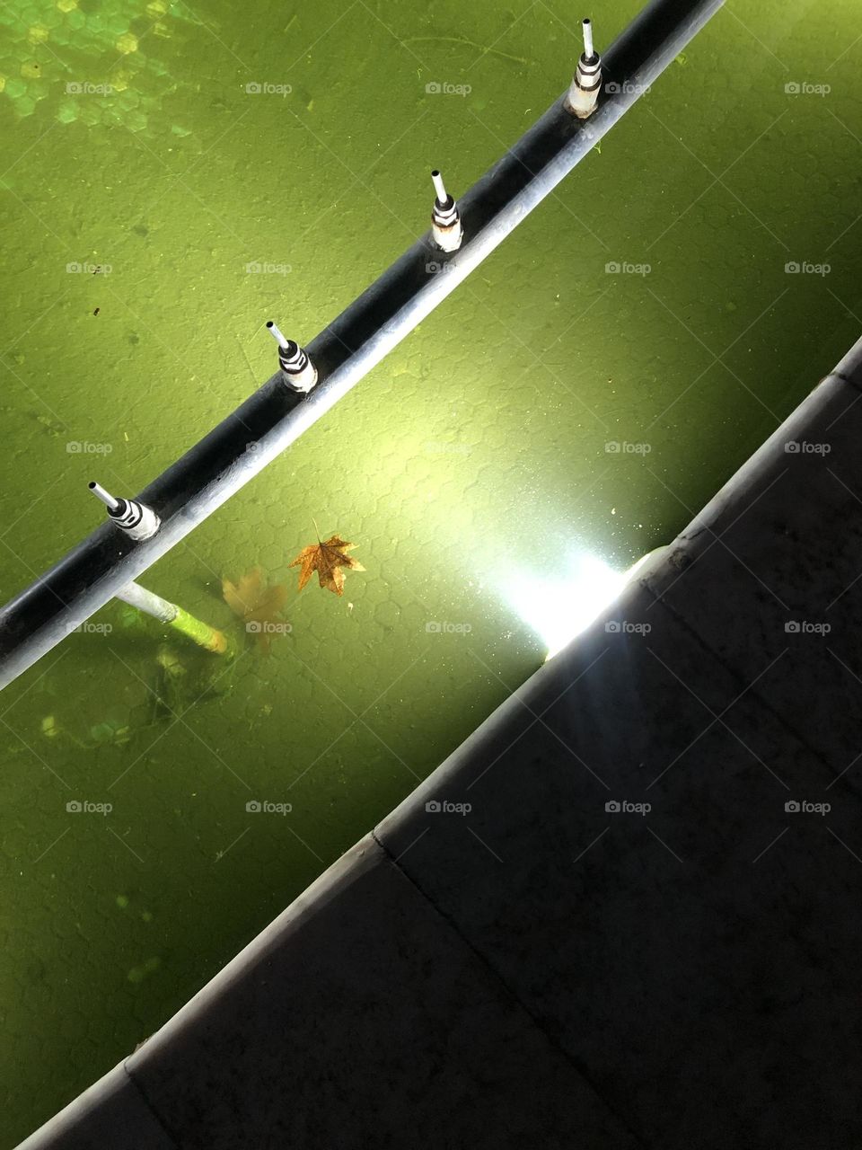 A lonely leaf floating on a pool and one drowned at the bottom
Does the floating one have the same fate?
If only a lively child could pick it up!