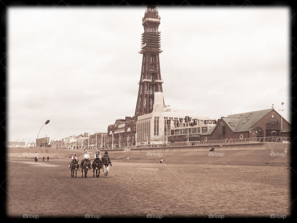 Donkeyriding on the beach of Blackpool