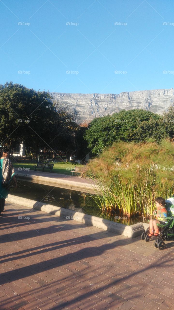 Company Garden, Cape Town SA
