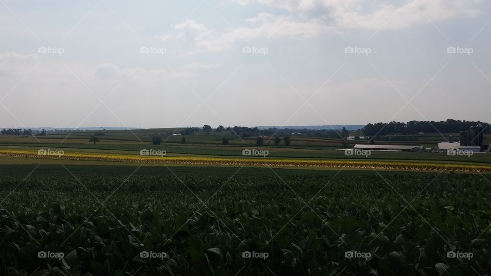 Pennsylvania lancaster. Farms
