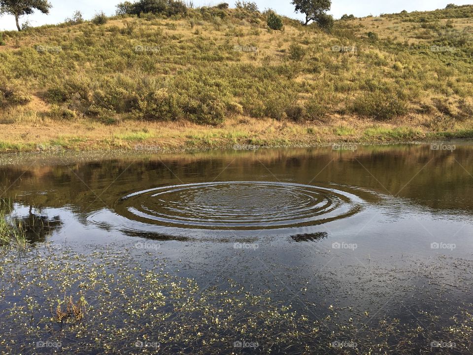 Circles as waves on pond