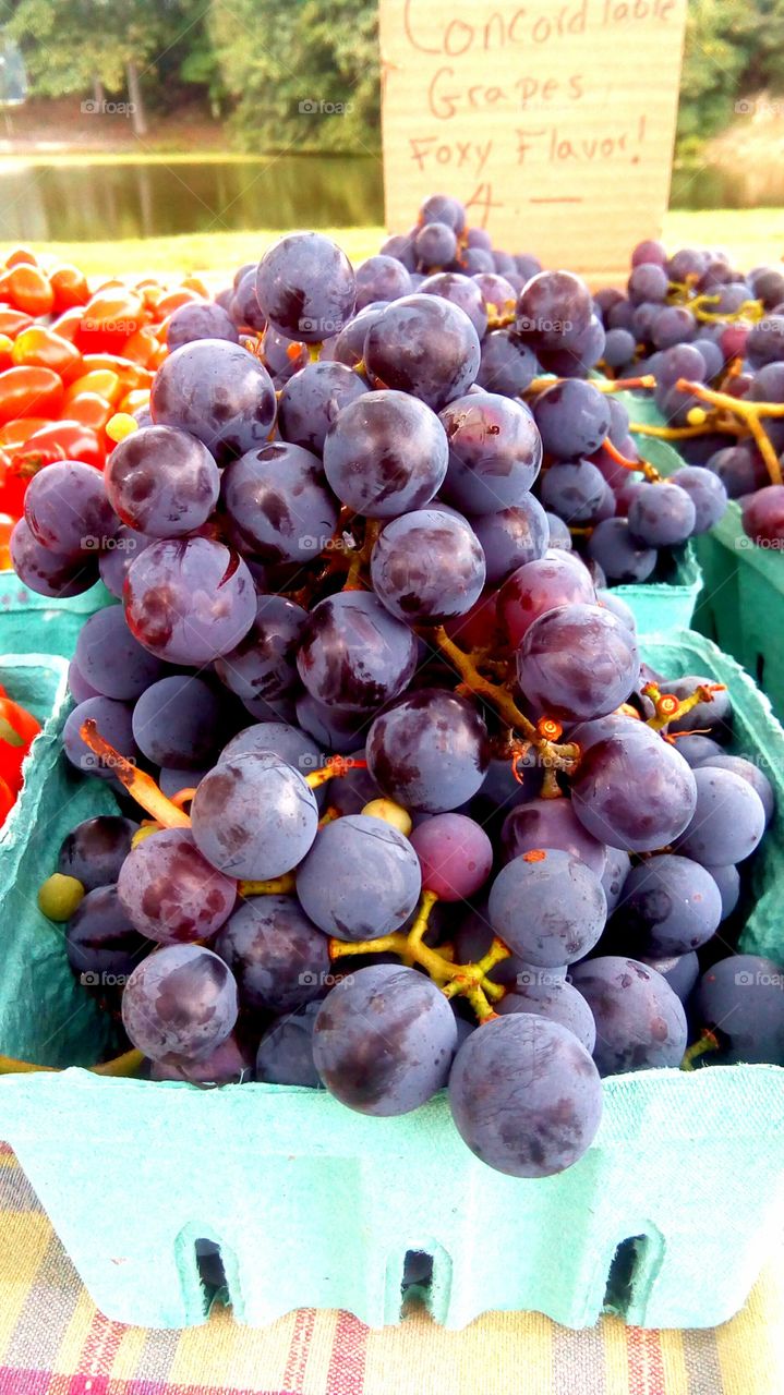 Concord grapes