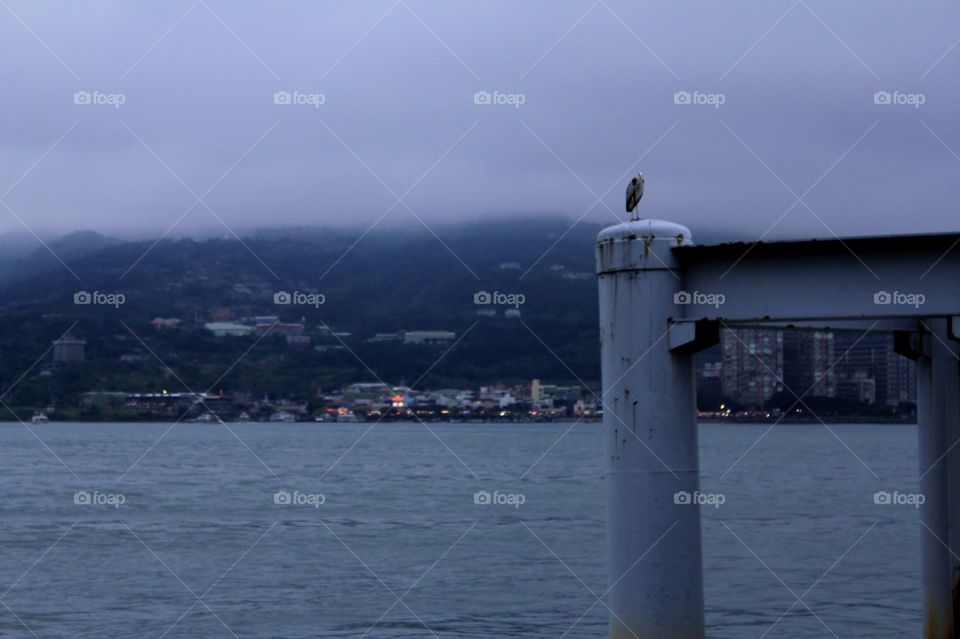 A bird standing over a post on a boat pier. A cloudy mountain with city in the background