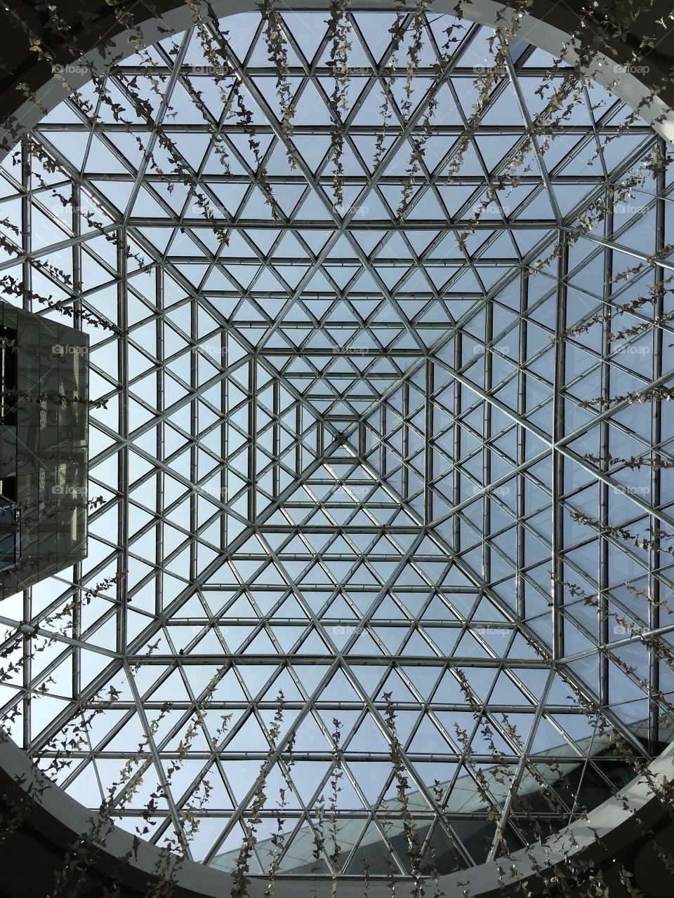 Architecture - looking up at a glass roof at a shopping mall.
