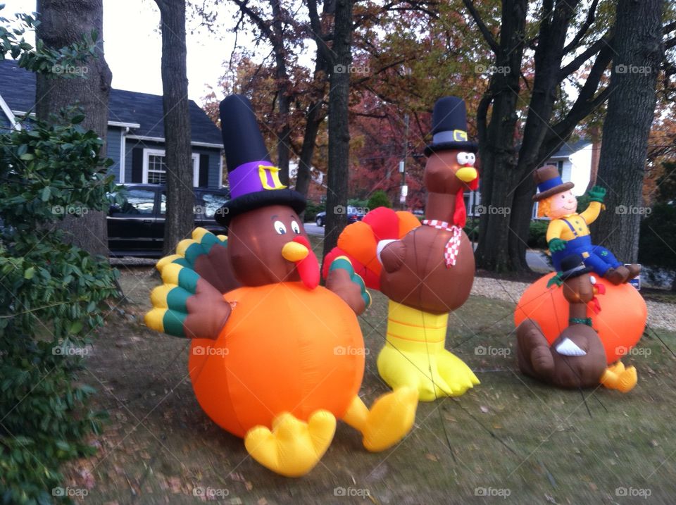 People, Festival, Balloon, Child, Landscape